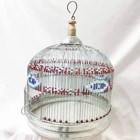 سهره قناری|پرنده|فسا, |دیوار