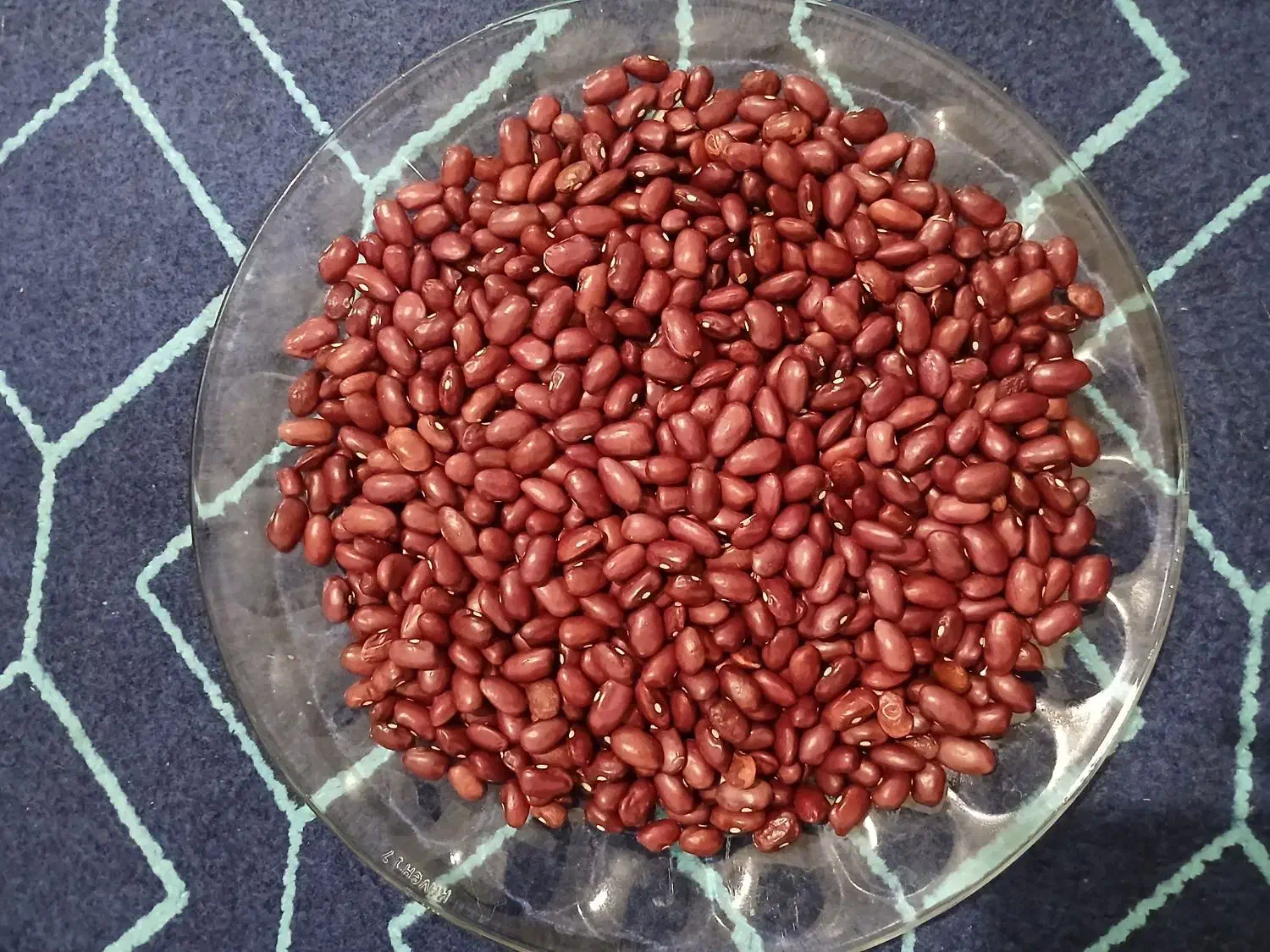 لوبیا قرمز|خوردنی و آشامیدنی|موچش, |دیوار