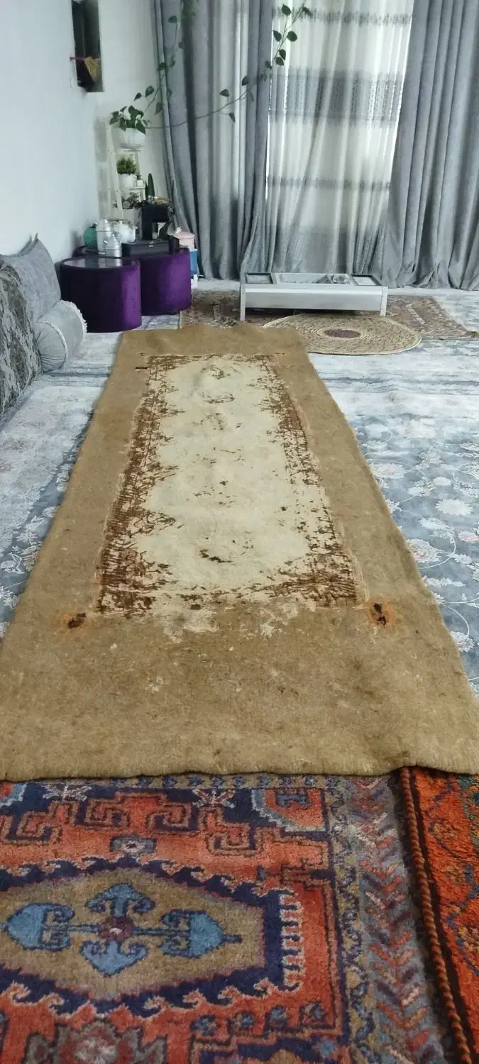 فرش دستبافت|فرش|شوشتر, |دیوار