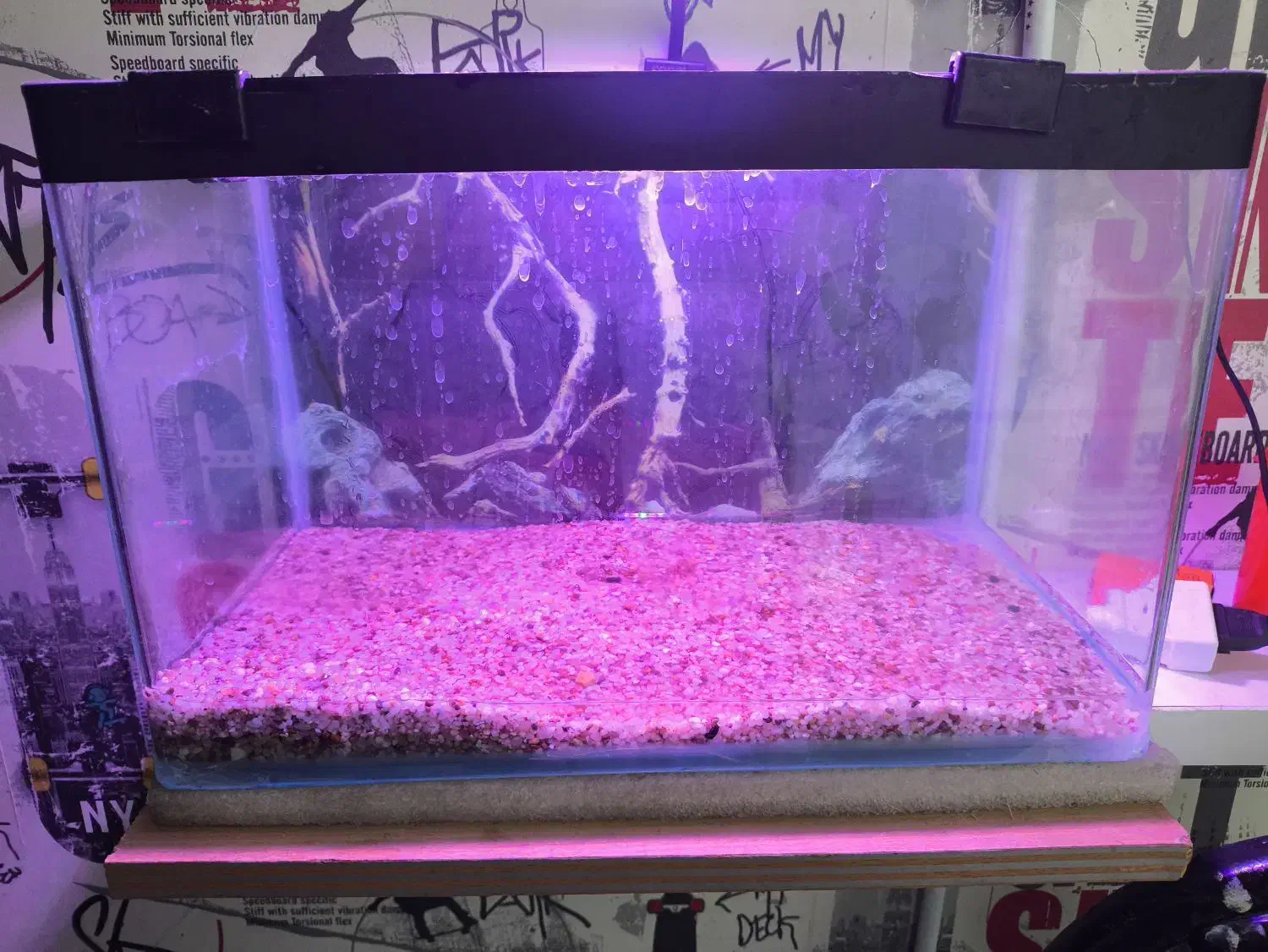 آکواریوم کامل|ماهی|مشهد, رستگار|دیوار