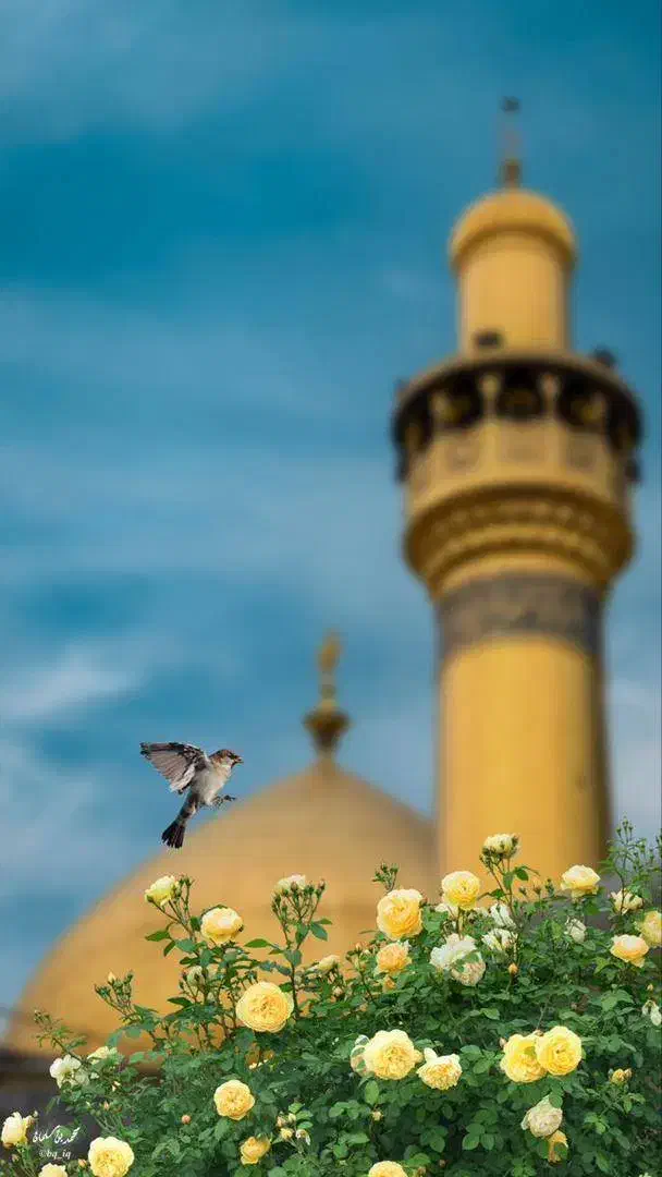 سفر هوایی کربلا اقساطی|تور و چارتر|کرمان, |دیوار