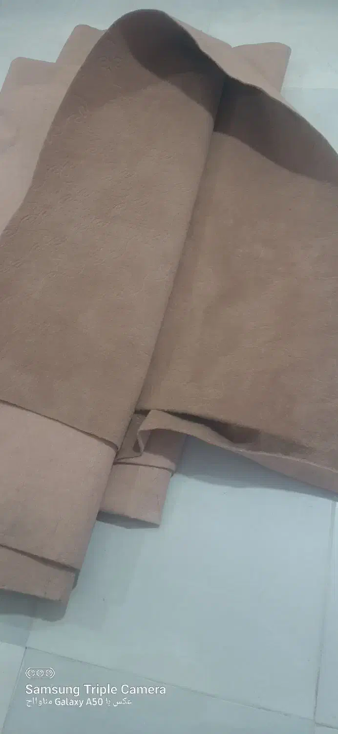 موکت|فرش|تنکابن, |دیوار