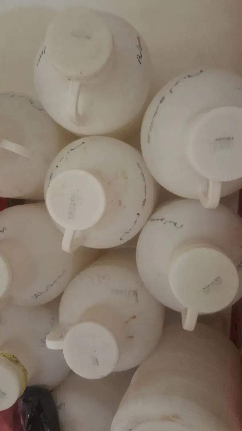 دبه ۱۶ کیلویی خیارشور پامچال|ظروف نگهدارنده، پلاستیکی، یک‌بارمصرف|مشهد, استاد یوسفی (شهرک غرب)|دیوار