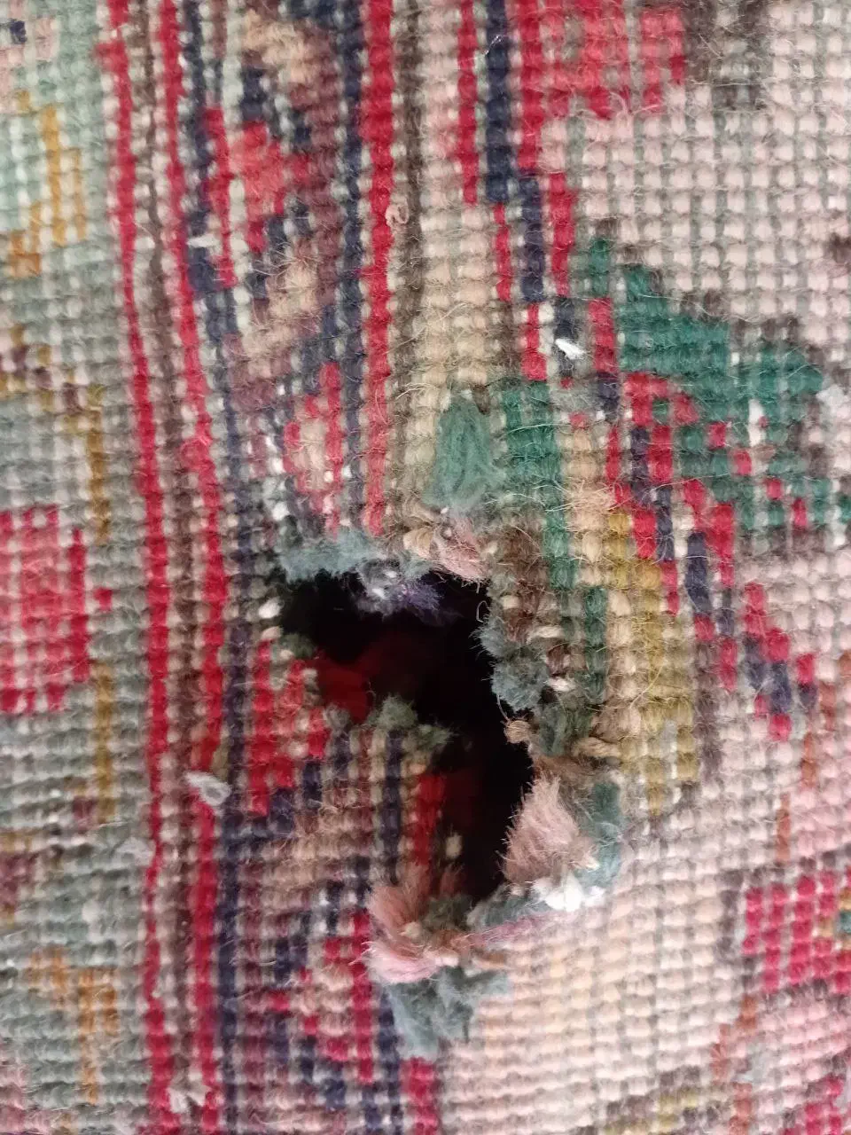 فرش دستباف|فرش|تبریز, |دیوار