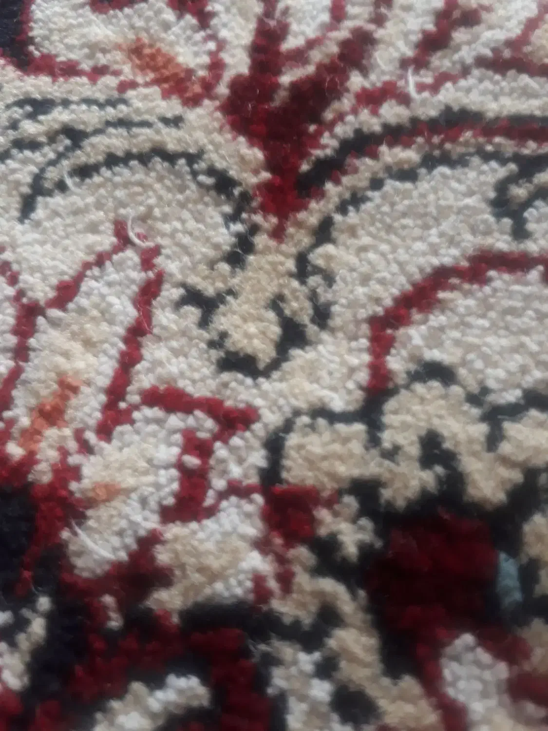 دنبال خونه|اجارهٔ آپارتمان|تربتحیدریه, رضاشهر|دیوار