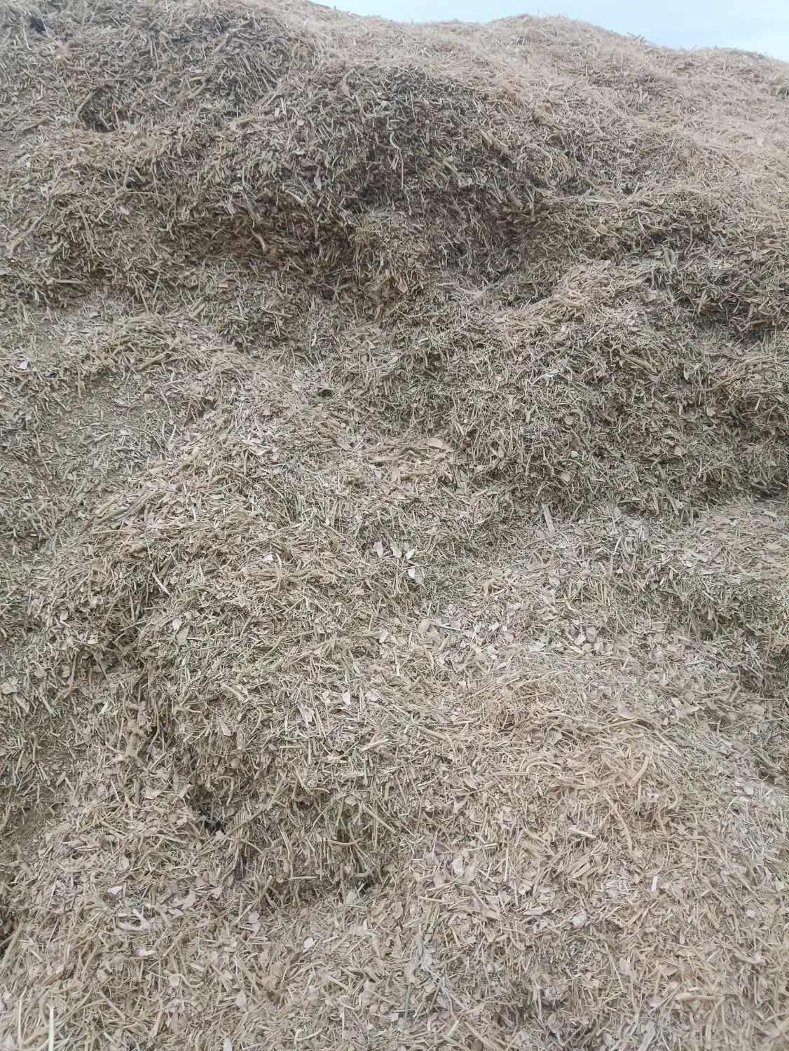 کاه لوبیا و کاه سفید|لوازم جانبی حیوانات|پاسارگاد, |دیوار