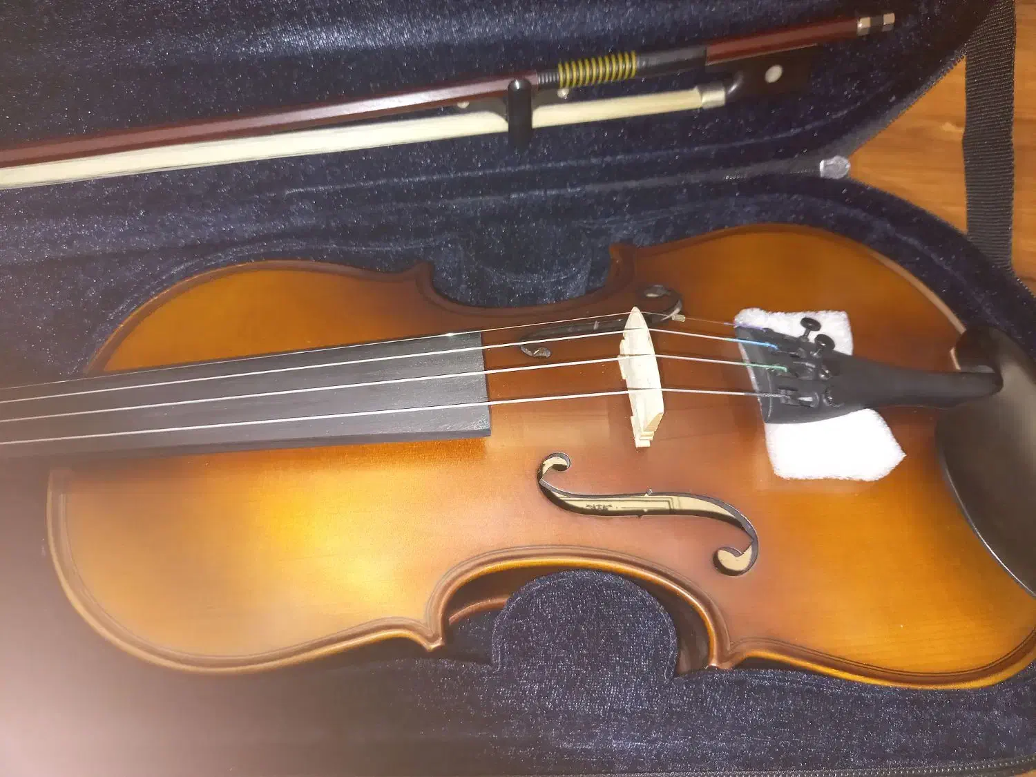 ویالون سندنر|ویولن|نیشابور, امین اسلامی|دیوار