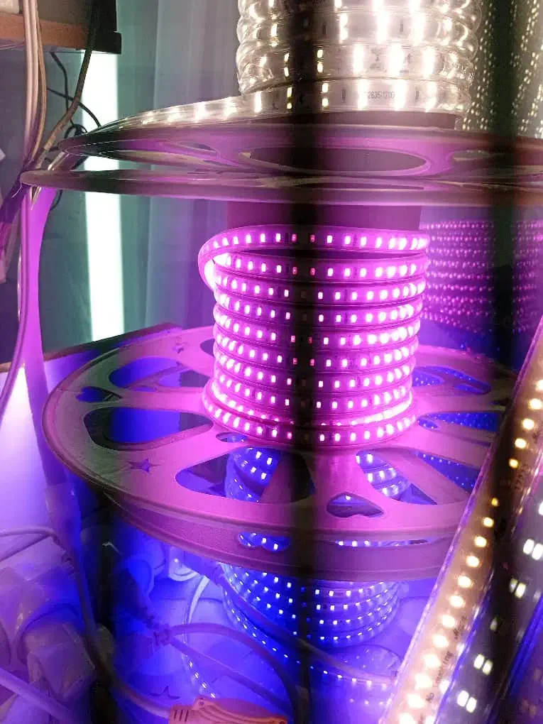 ریسه شلنگی ،رنگ بنفش،نو|ریسه و چراغ تزئینی|قشم, |دیوار