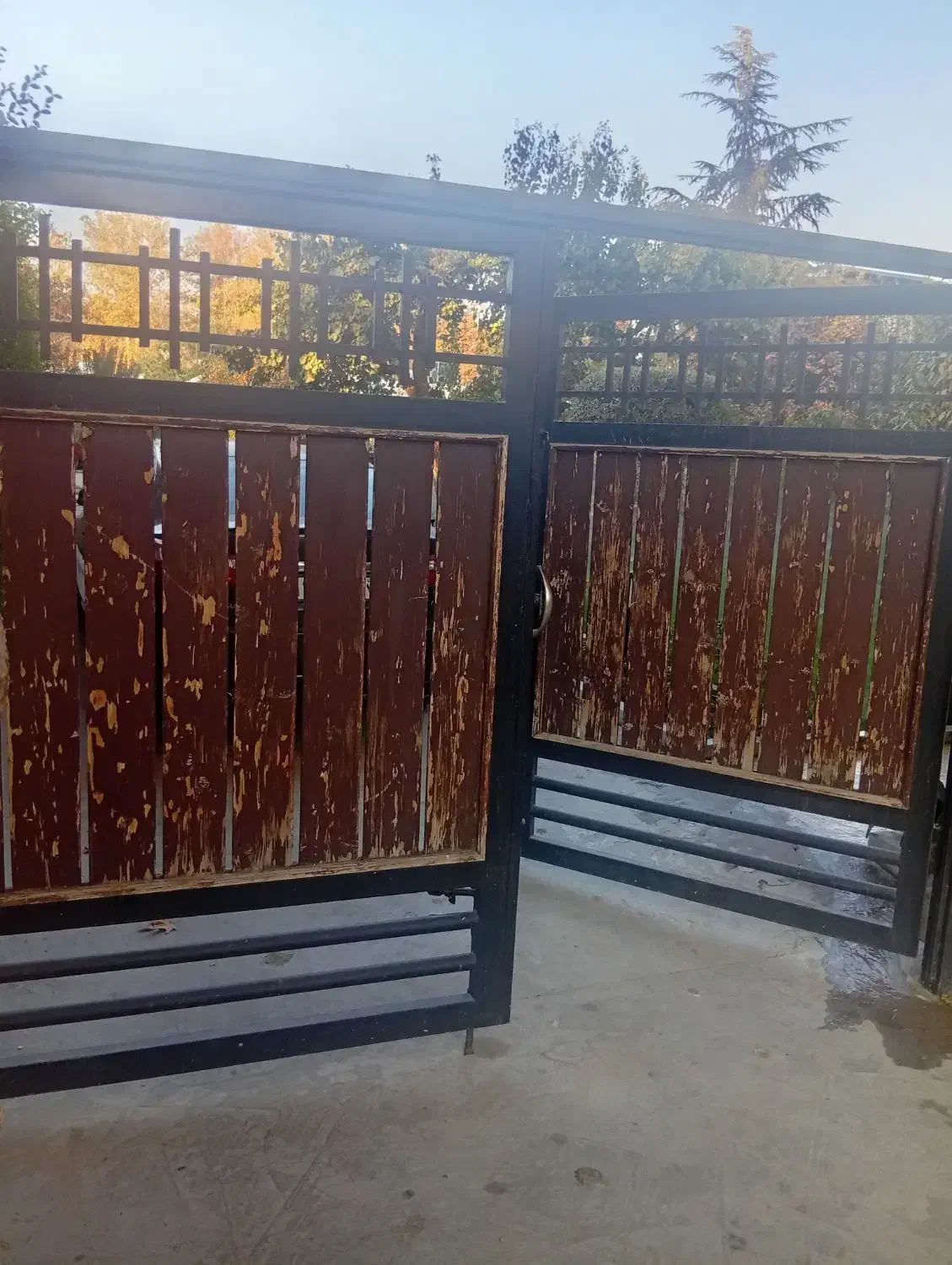 نقاشی ساختمان|خدمات پیشه و مهارت|فردیس, دهکده|دیوار