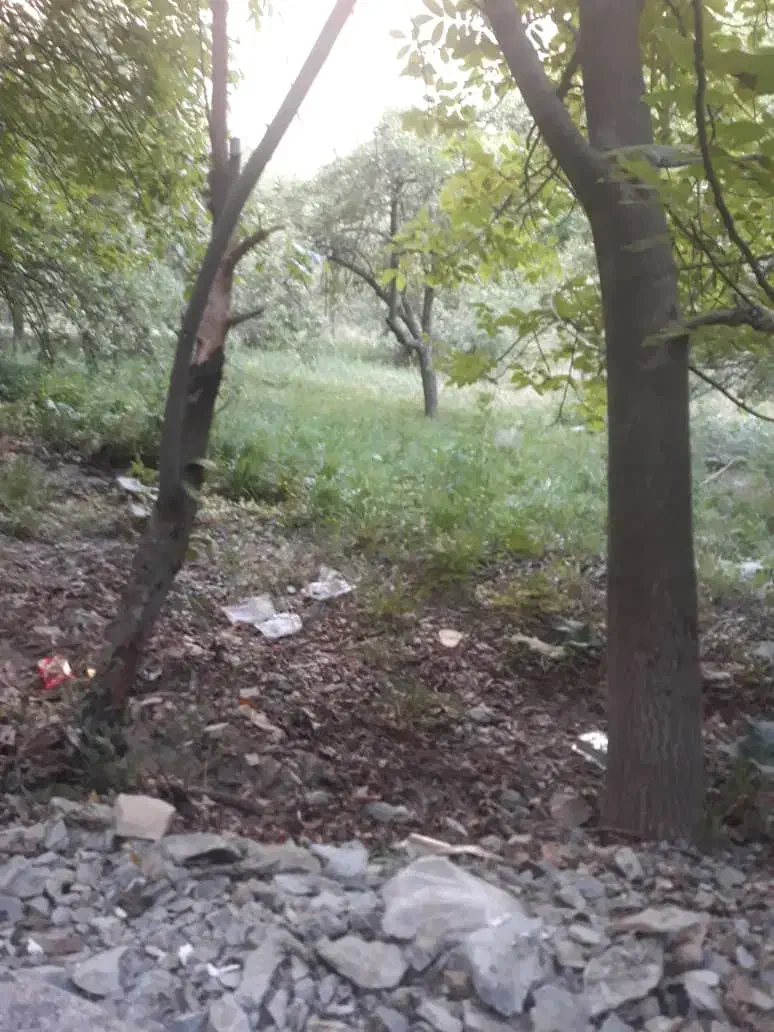 400 متر زمین نزدیک اویزر|فروش زمین و ملک کلنگی|آسارا, |دیوار