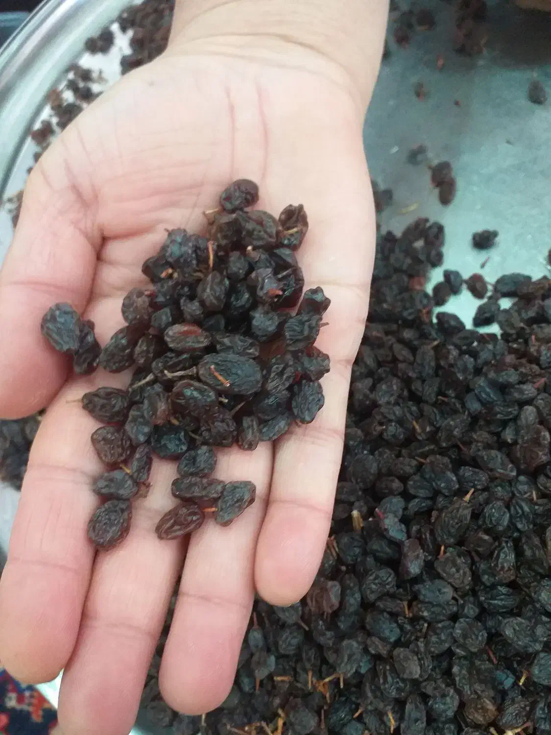 کشمش درجه یک|خوردنی و آشامیدنی|میاندوآب, |دیوار