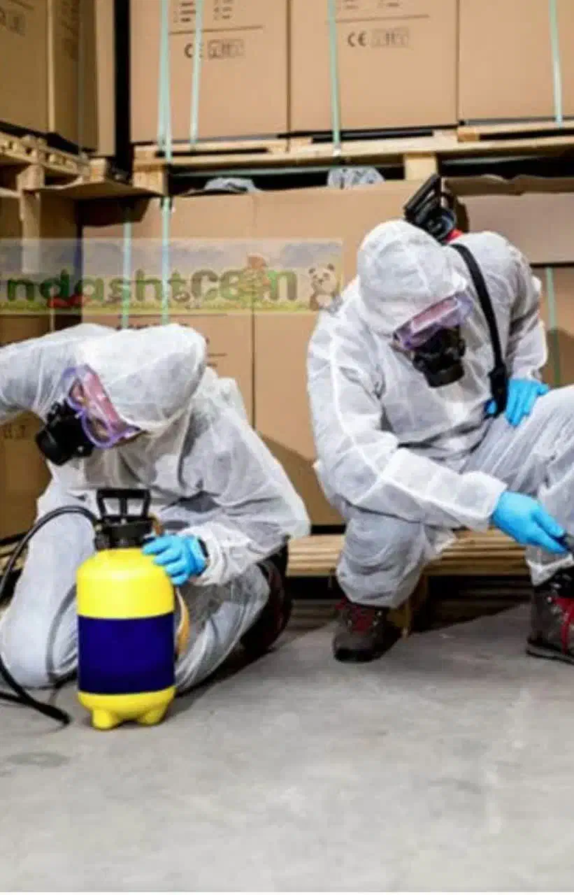 سمپاشی موریانه اصولی سم پاشی ساس سوسک تضمینی|خدمات نظافت|شاهینشهر, شهرک امام علی|دیوار