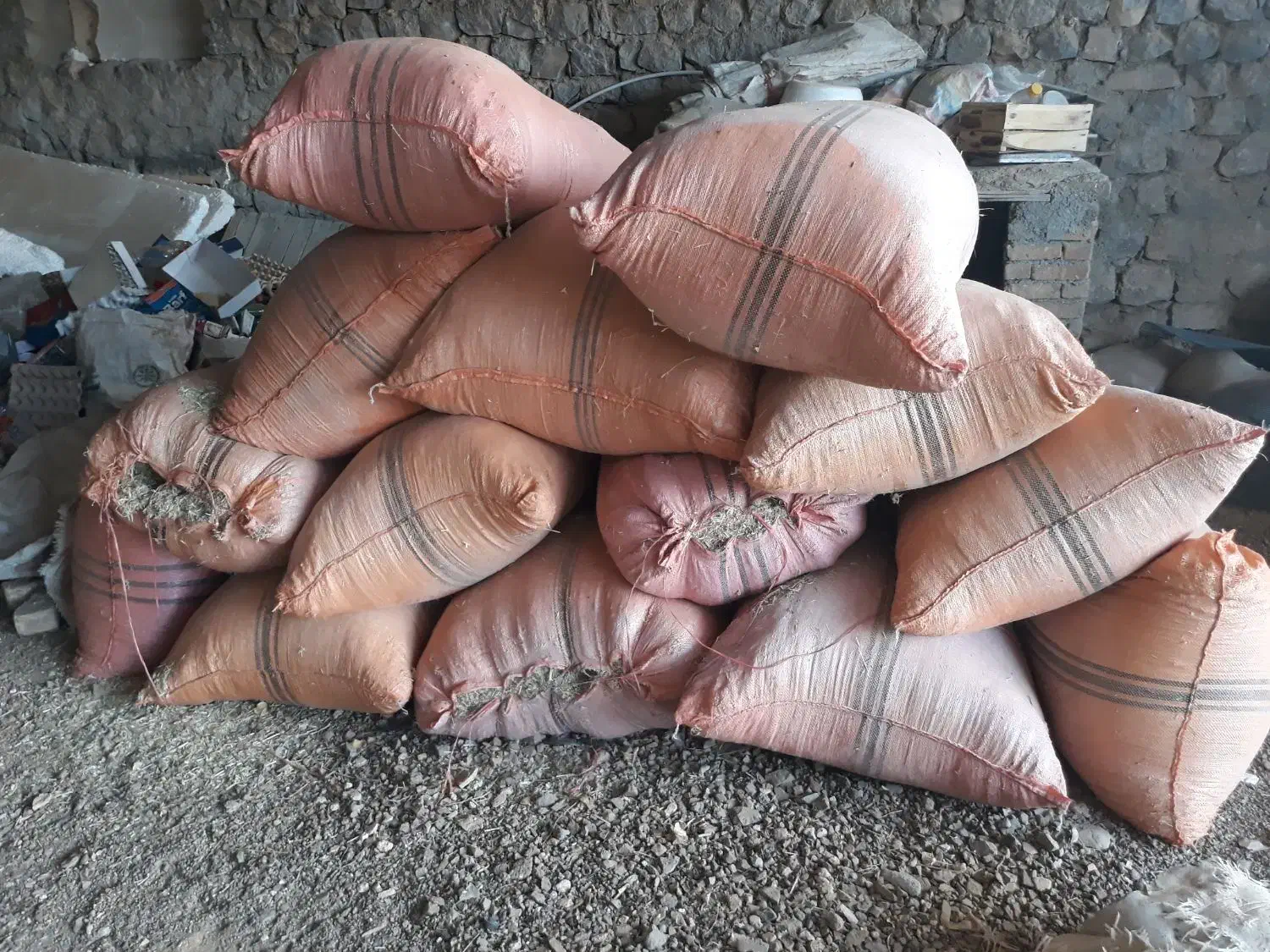 علف همه گیاه|حیوانات مزرعه|کامیاران, |دیوار