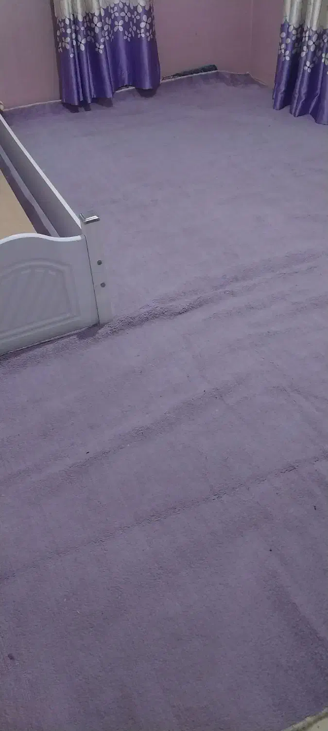 موکت یاسی|موکت|ری, سیزده آبان|دیوار