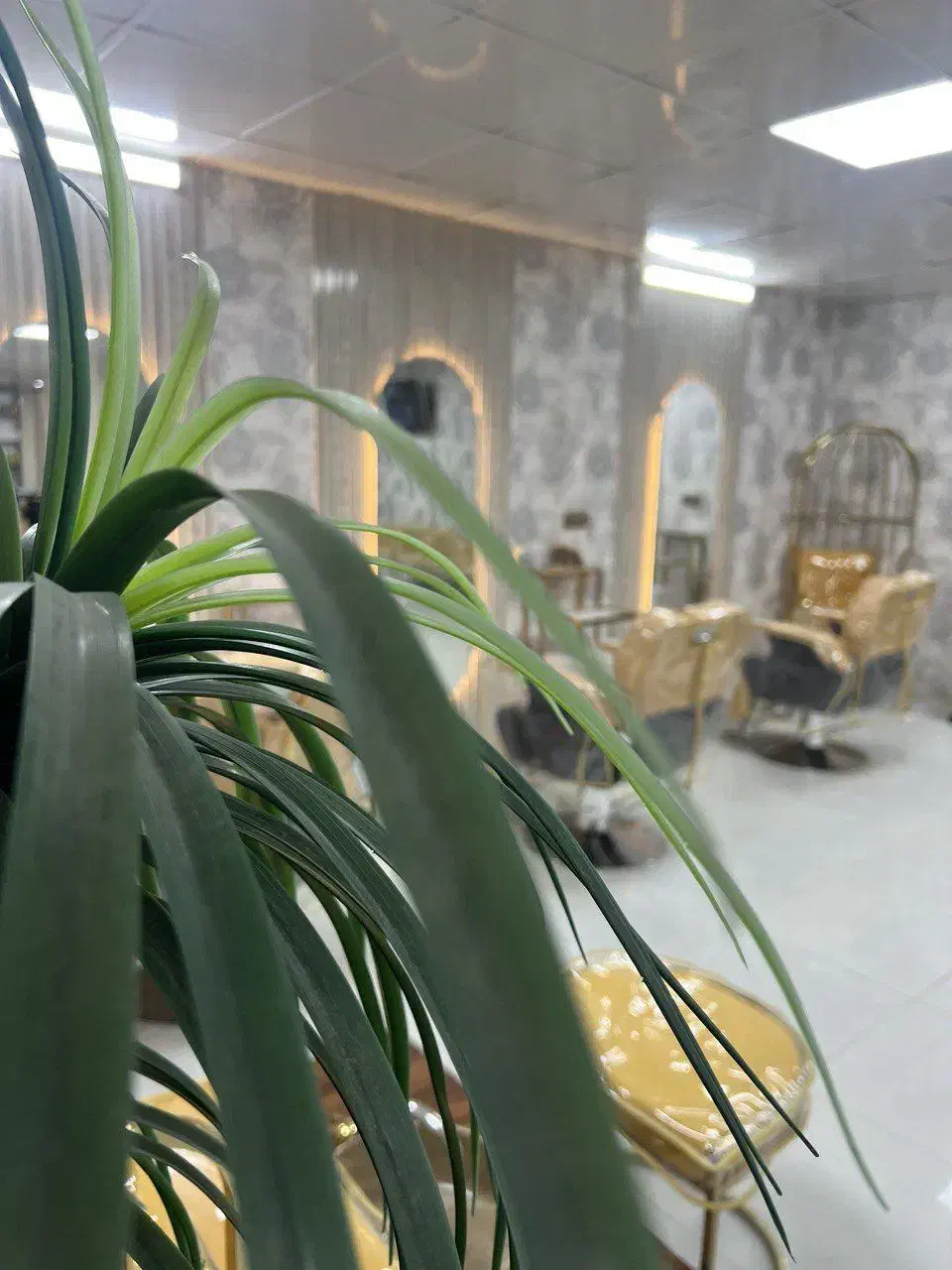 جذب نیرو در محیط حرفه‌ای سالن بانو آتی|استخدام درمانی، زیبایی، بهداشتی|زاهدان, |دیوار