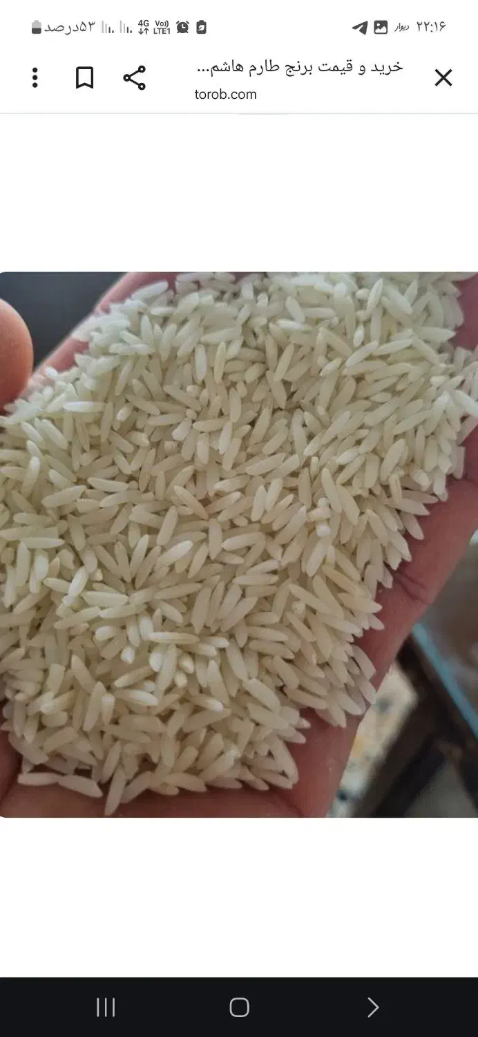 برنج هاشمی گیلان.|خوردنی و آشامیدنی|هشتگرد, هشتگرد قدیم|دیوار