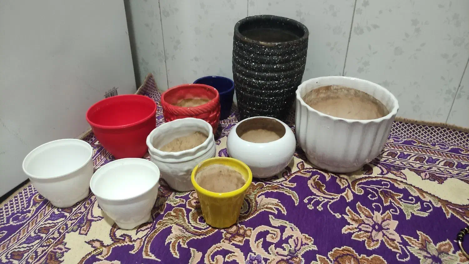 گلدان|گل و گیاه طبیعی|پاکدشت, پاکدشت (مامازند)|دیوار