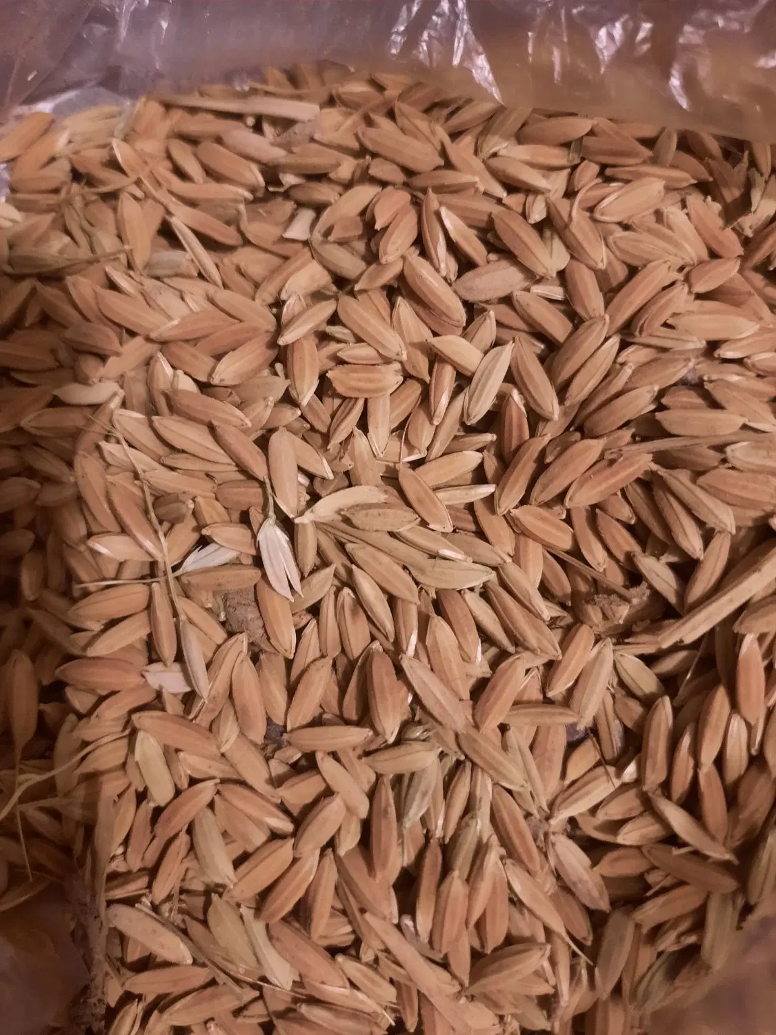 چلتوک|خوردنی و آشامیدنی|مبارکه, |دیوار