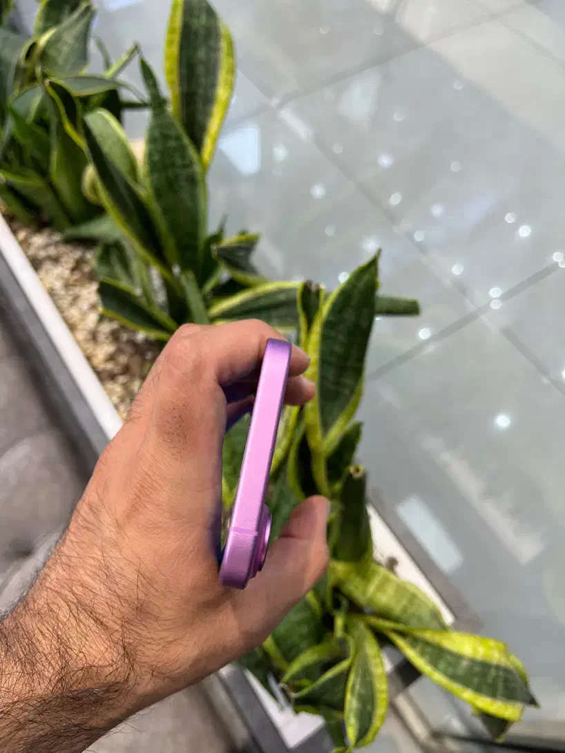 اپل ۱۶ نرمال صورتی از دم قسط ۱۸ ماه|موبایل|اصفهان, مفتح|دیوار