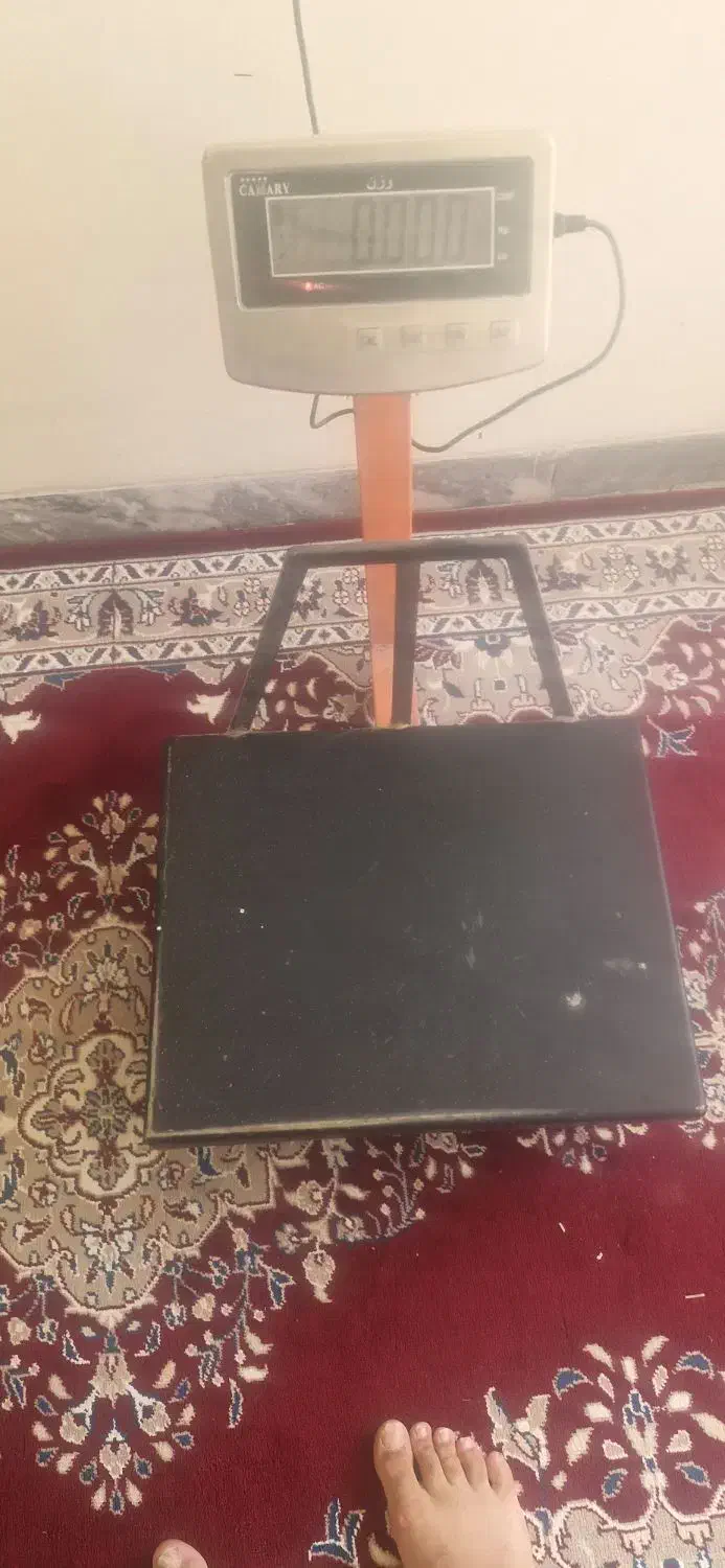 ترازو دیجیتال|فروشگاه و مغازه|مبارکه, |دیوار