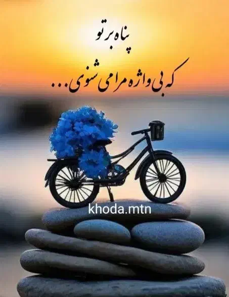 گم شدن مدارک|اشیا|مشهد, آزادشهر|دیوار