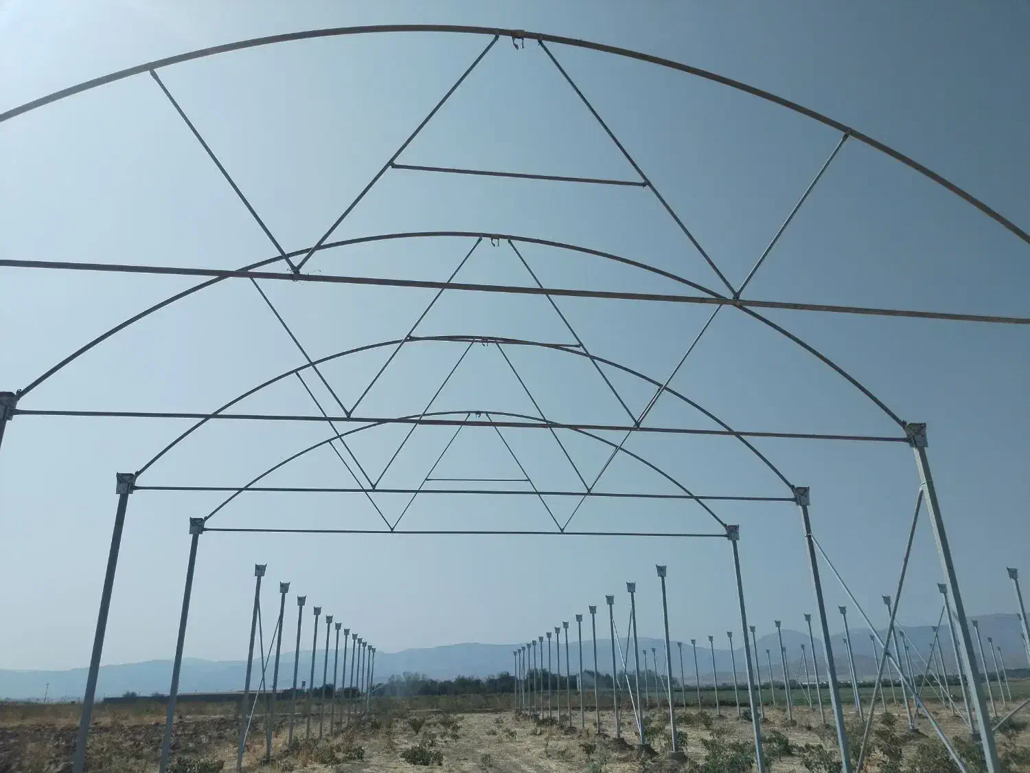 ساخت سازه گلخانه صفرتاصد(نقدواقساط )|خدمات پیشه و مهارت|شیراز, شهرک آرین|دیوار