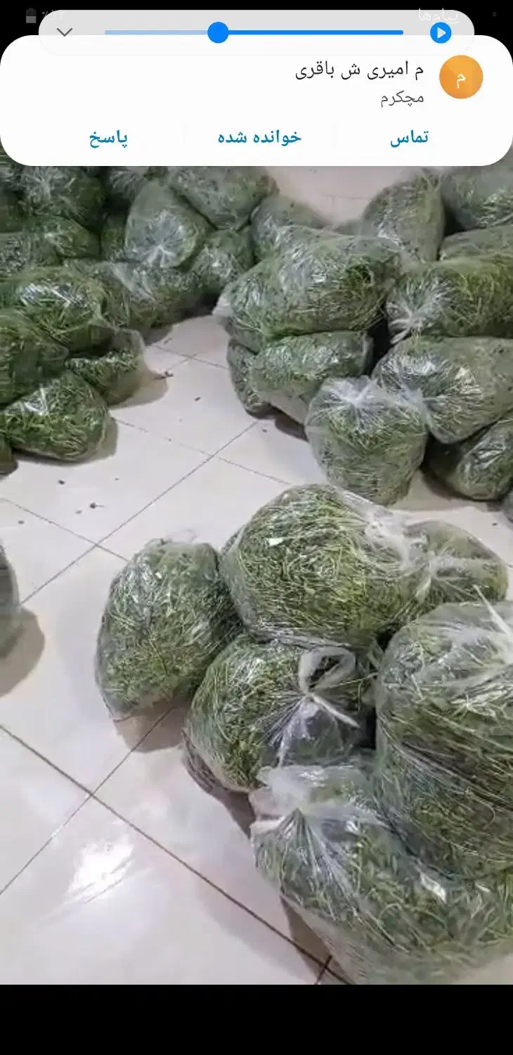 پخش سبزی آماده|خوردنی و آشامیدنی|باقرشهر, |دیوار