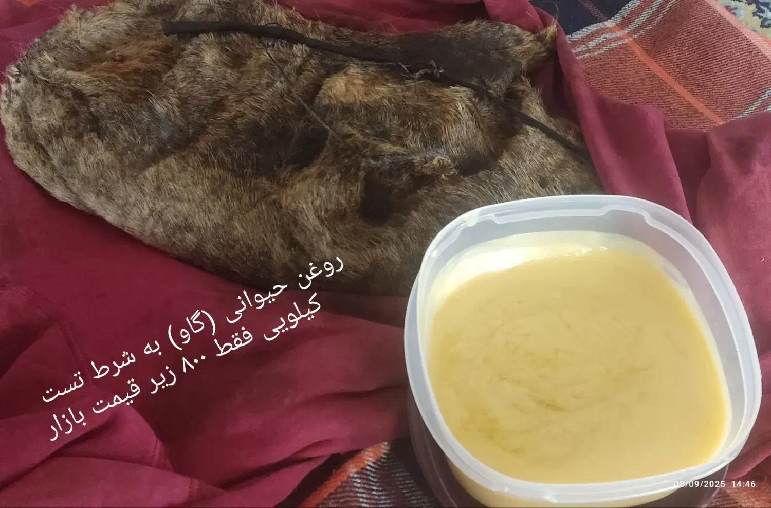 روغن حیوانی|خوردنی و آشامیدنی|رومشکان, |دیوار