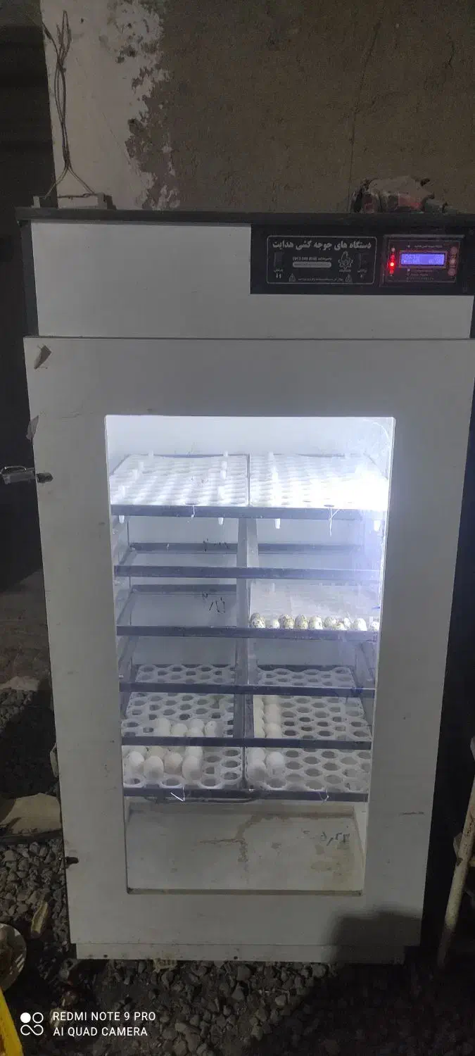 دستگاه جوجه کشی هدایت|لوازم جانبی حیوانات|چناران, |دیوار