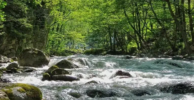 تور شاد ترکیبی ۸ روزه شمال مشهد|تور و چارتر|شیراز, ملاصدرا|دیوار