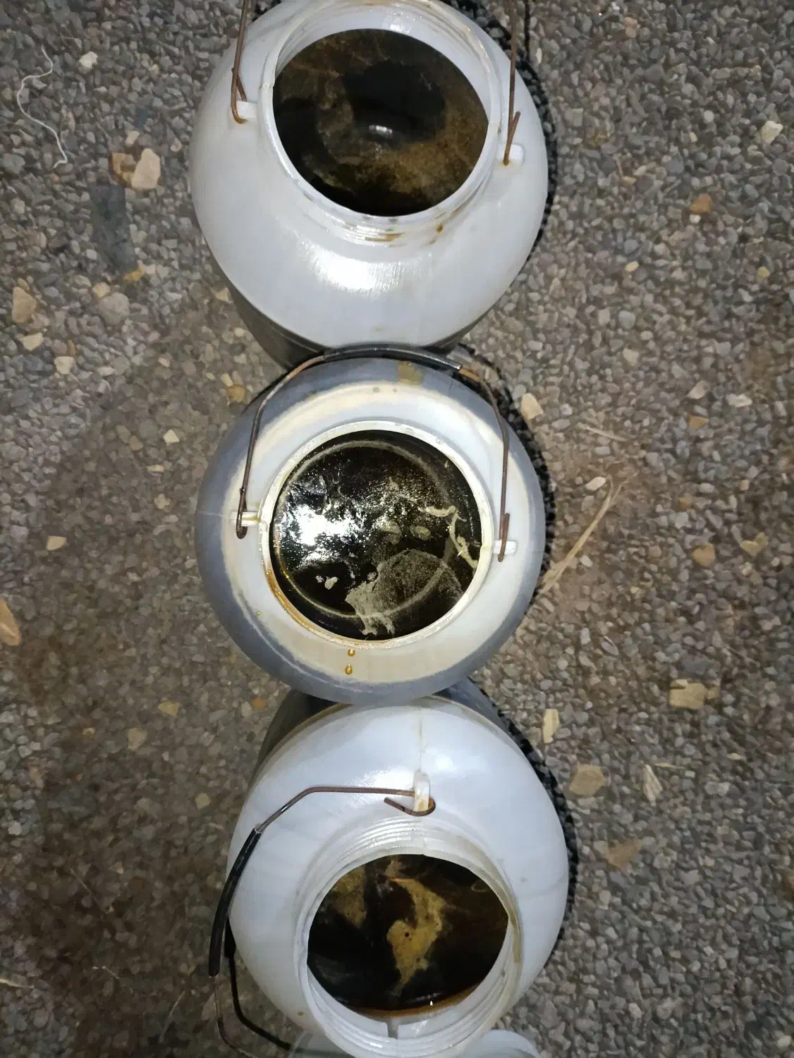 شیره خرمااصل چکیدهای|عمدهفروشی|بم, |دیوار