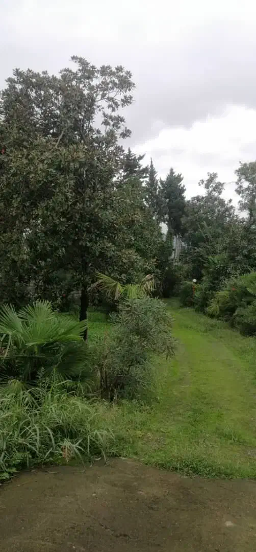 باغ ویلا ۲۷۰۰ متری بر اتوبان قابل تهاتر|فروش زمین و ملک کلنگی|رامسر, |دیوار