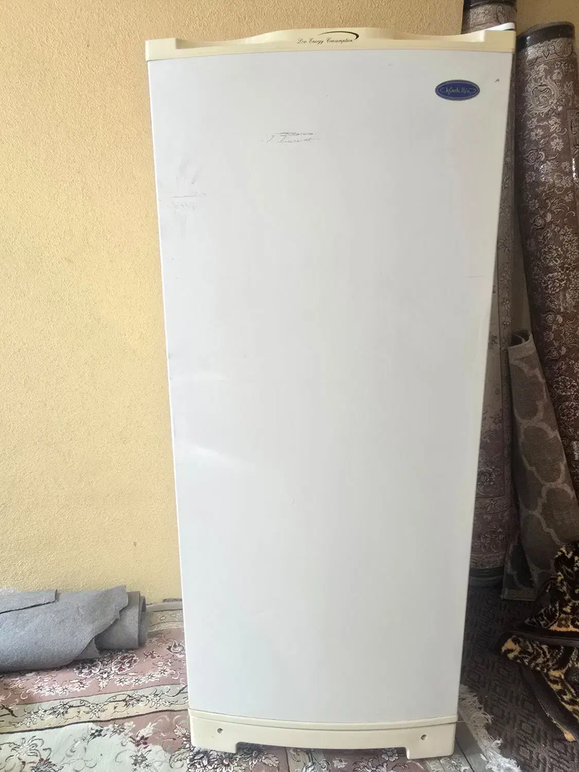 یخچال جنرال استیل اصل|یخچال و فریزر|خوی, |دیوار