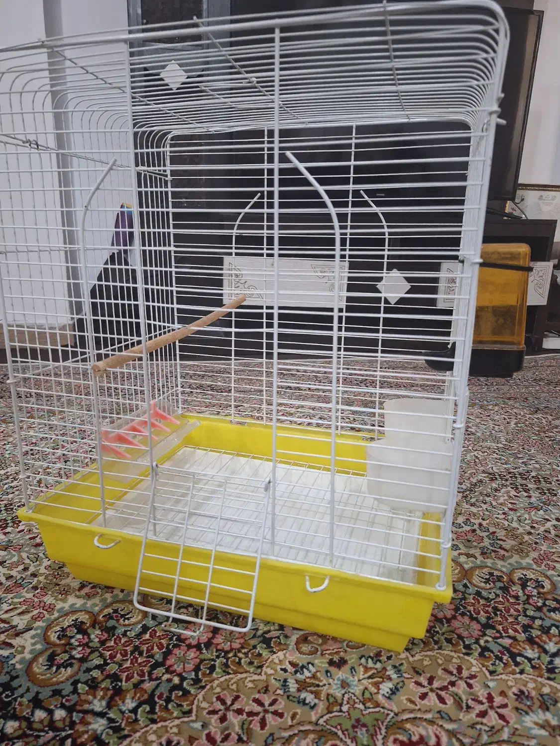 قفس پرنده نو با وسایل|لوازم جانبی حیوانات|جیرفت, |دیوار