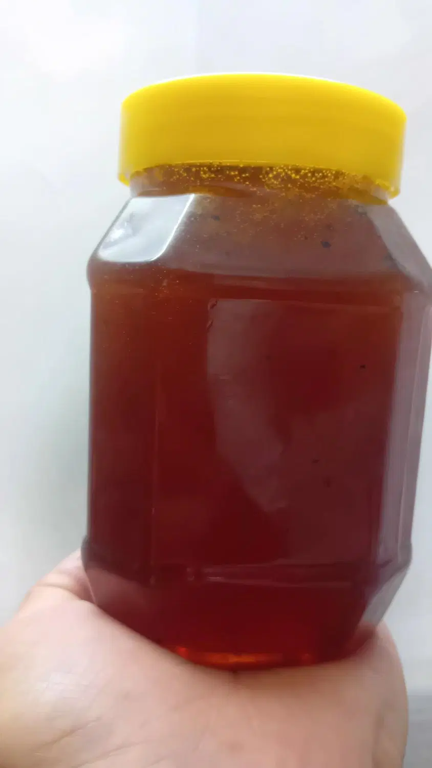 عسل درمانی فوق خالص بدون یک قطره شکرو..|خوردنی و آشامیدنی|تبریز, |دیوار