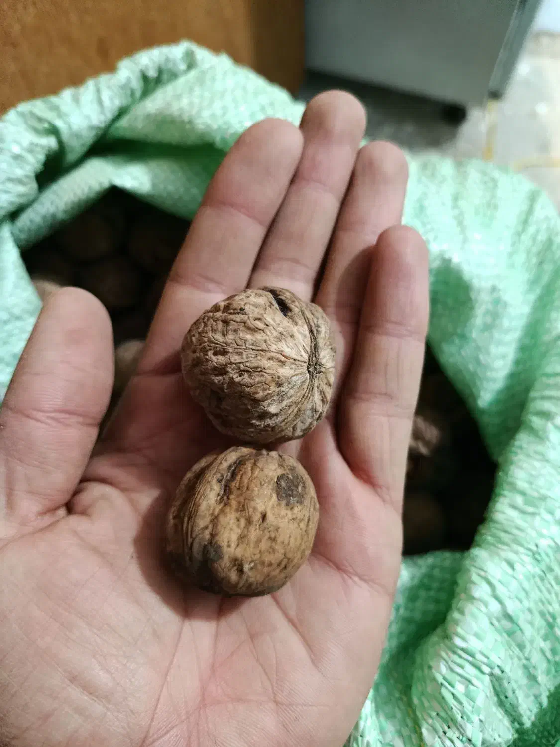 گردو|خوردنی و آشامیدنی|سنقر, |دیوار