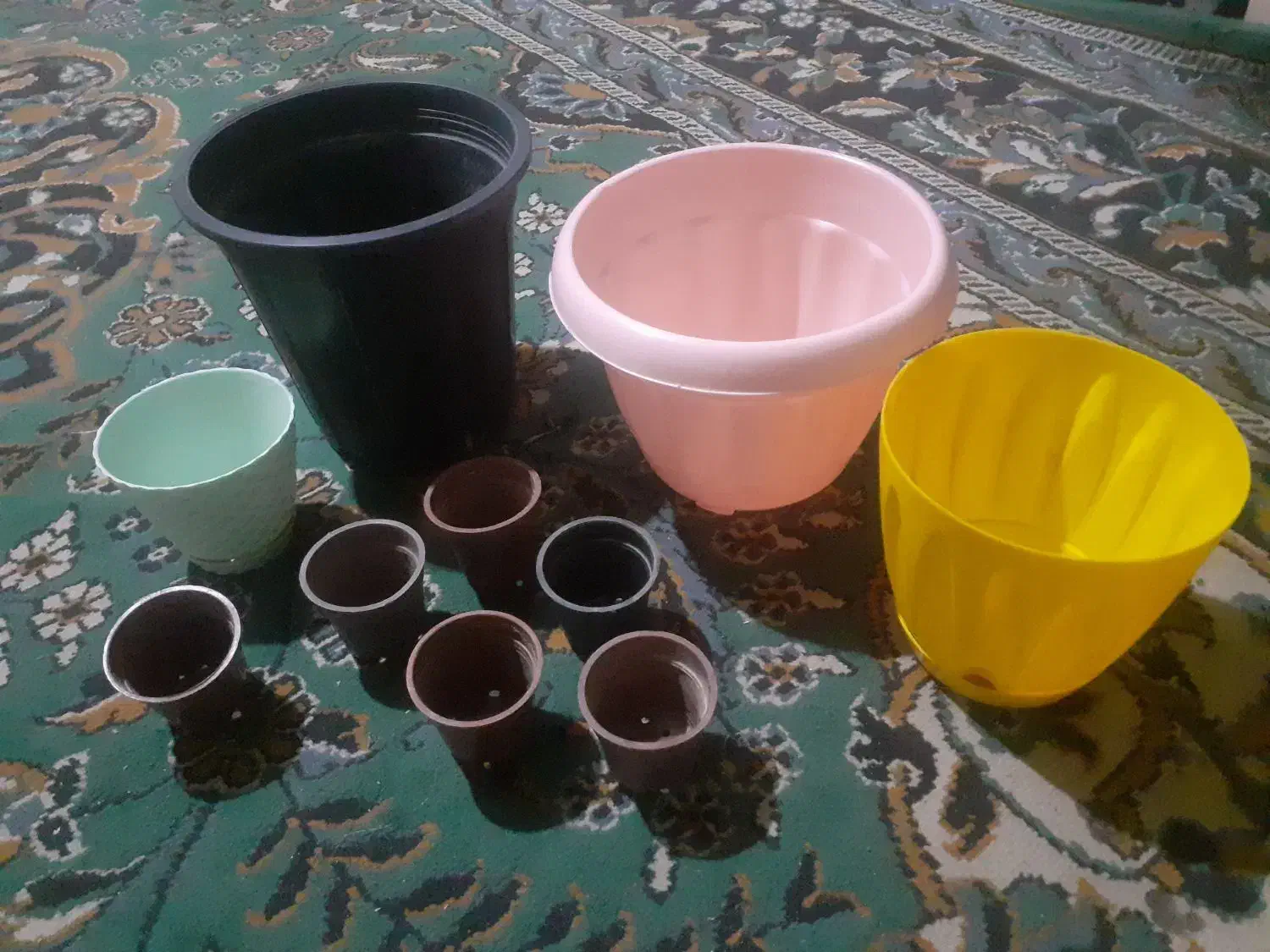 گلدان پلاستیکی . همشون 100ت|گل و گیاه طبیعی|تربت‌حیدریه, مظفریه|دیوار