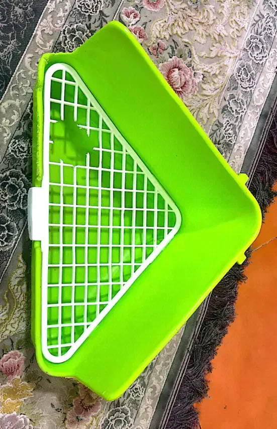 پد ادرار سنجاب|لوازم جانبی حیوانات|تهران, خواجه نصیر طوسی|دیوار