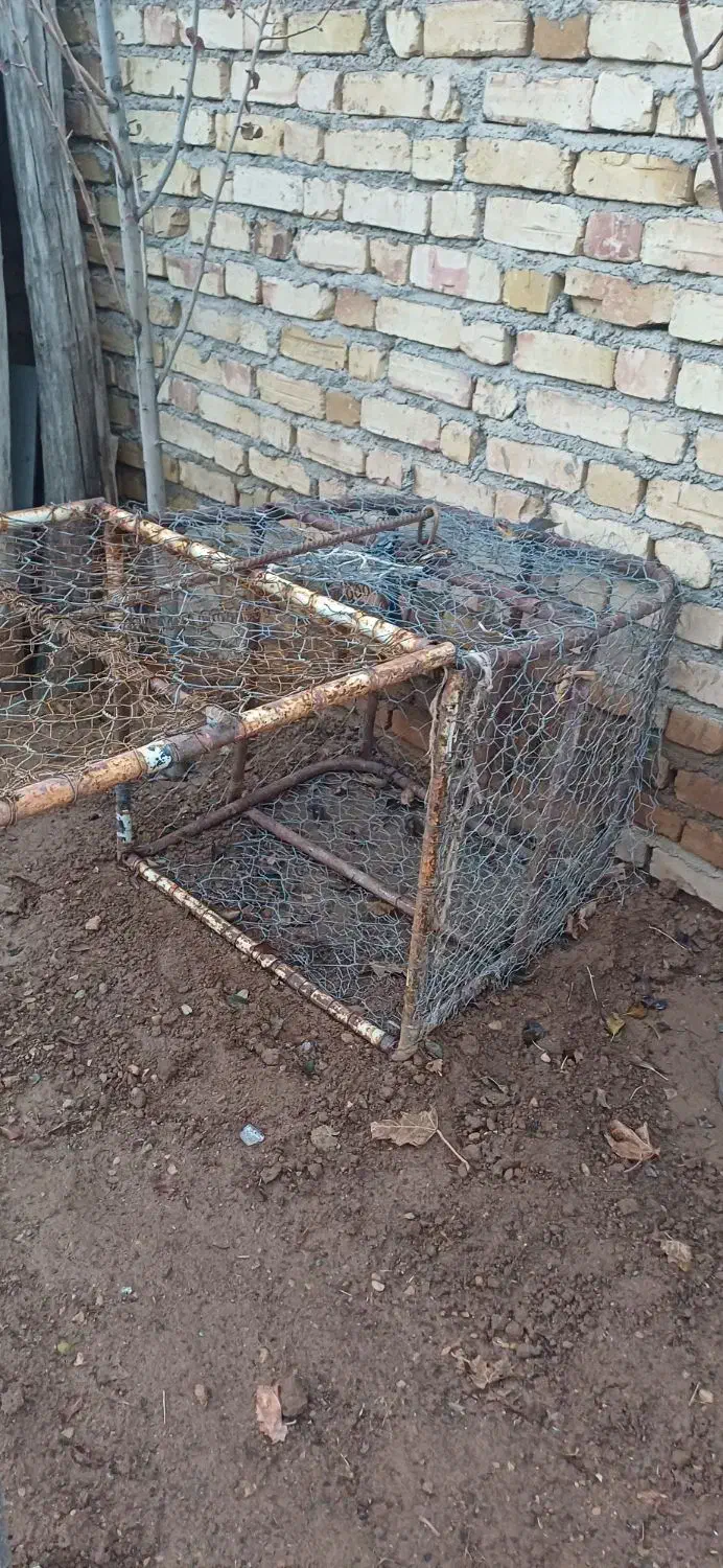 قفس ودرکوچک|لوازم جانبی حیوانات|قیدار, |دیوار