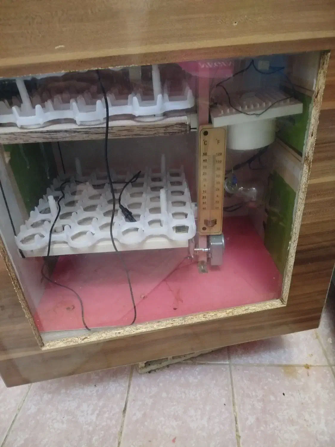 دستگاه جوجه کشی|لوازم جانبی حیوانات|بهبهان, |دیوار