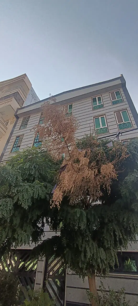 ۸۰متر فلکه۴ پارکینگ و آسانسور تخلیه بازسازی شده|اجارهٔ آپارتمان|فردیس, فردیس|دیوار