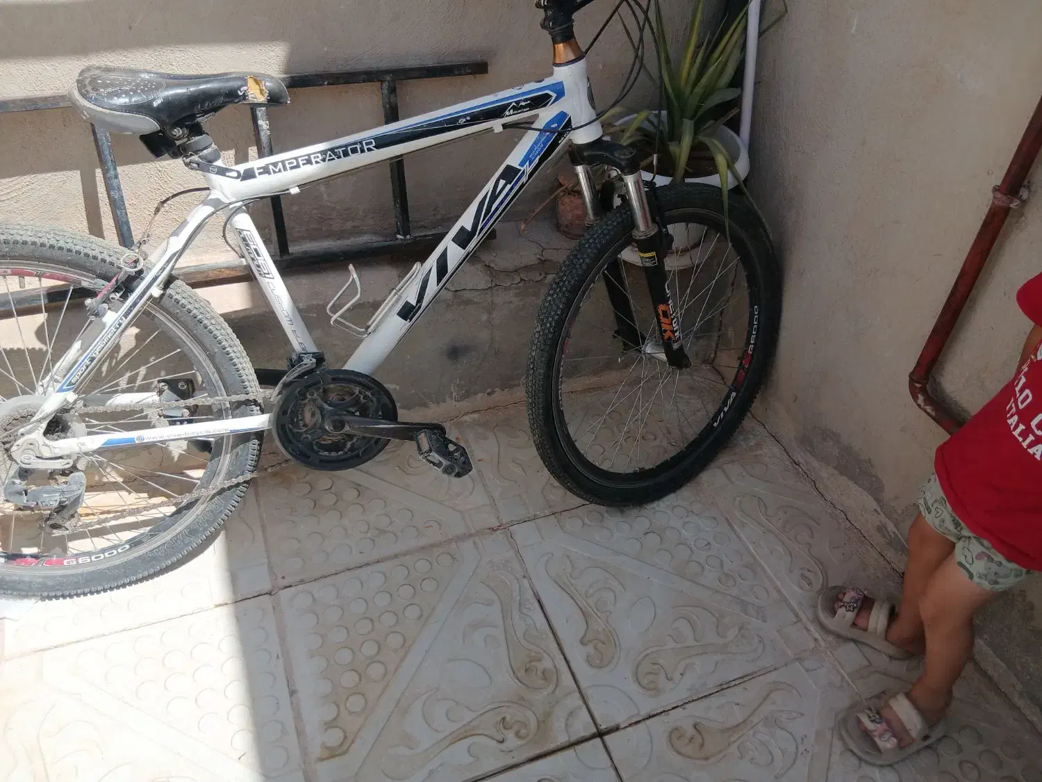 دوچرخه تمام آلمینیومی ویوا اصل|دوچرخه، اسکیت، اسکوتر|دهگلان, |دیوار