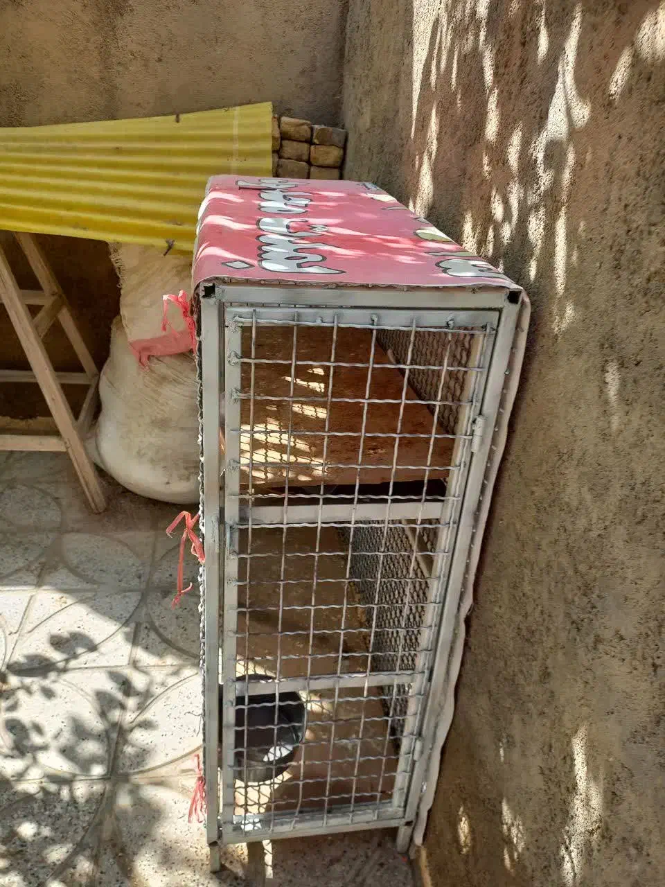 قفس مناسب مرغ و کبوتر|لوازم جانبی حیوانات|بجنورد, |دیوار