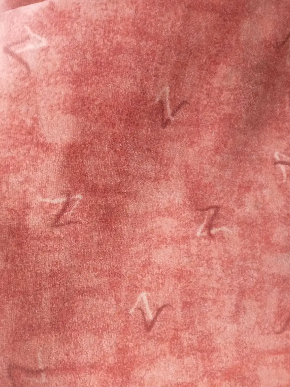 پالاز موکت ۲۲متری.۸در۲/۵|موکت|سرپل ذهاب, |دیوار