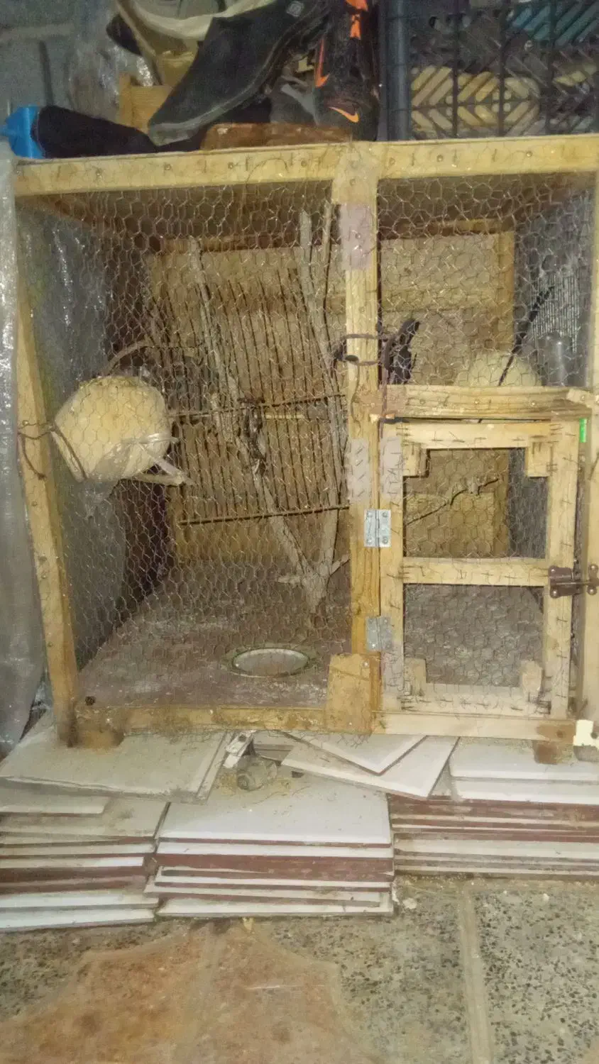 قفس برای جوجه کشی|لوازم جانبی حیوانات|بندرعباس, |دیوار