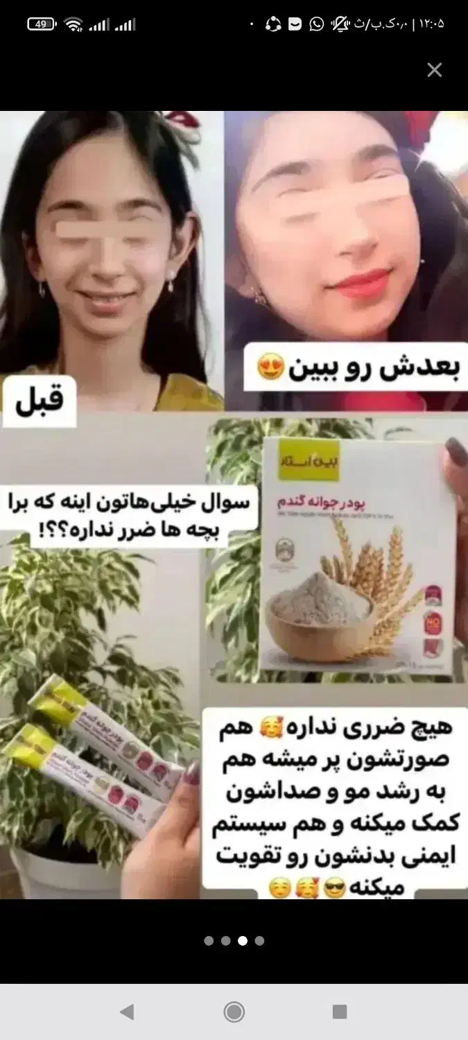 جوانه گندم دکتر بیز|خوردنی و آشامیدنی|شیراز, عادل آباد|دیوار