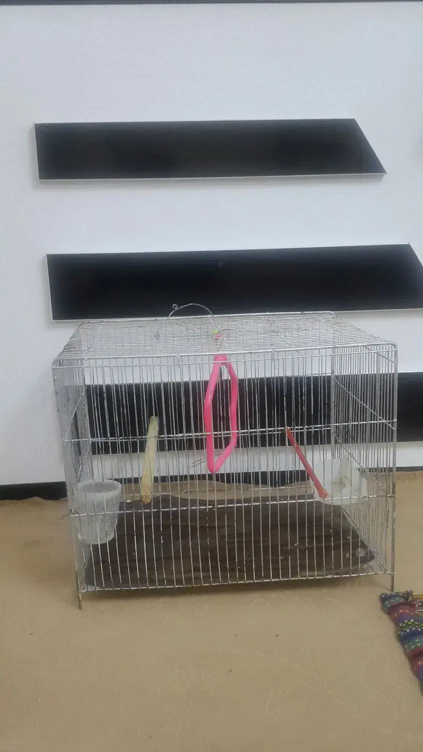قفس پرنده .بزرگ|لوازم جانبی حیوانات|خرم‌آباد, |دیوار
