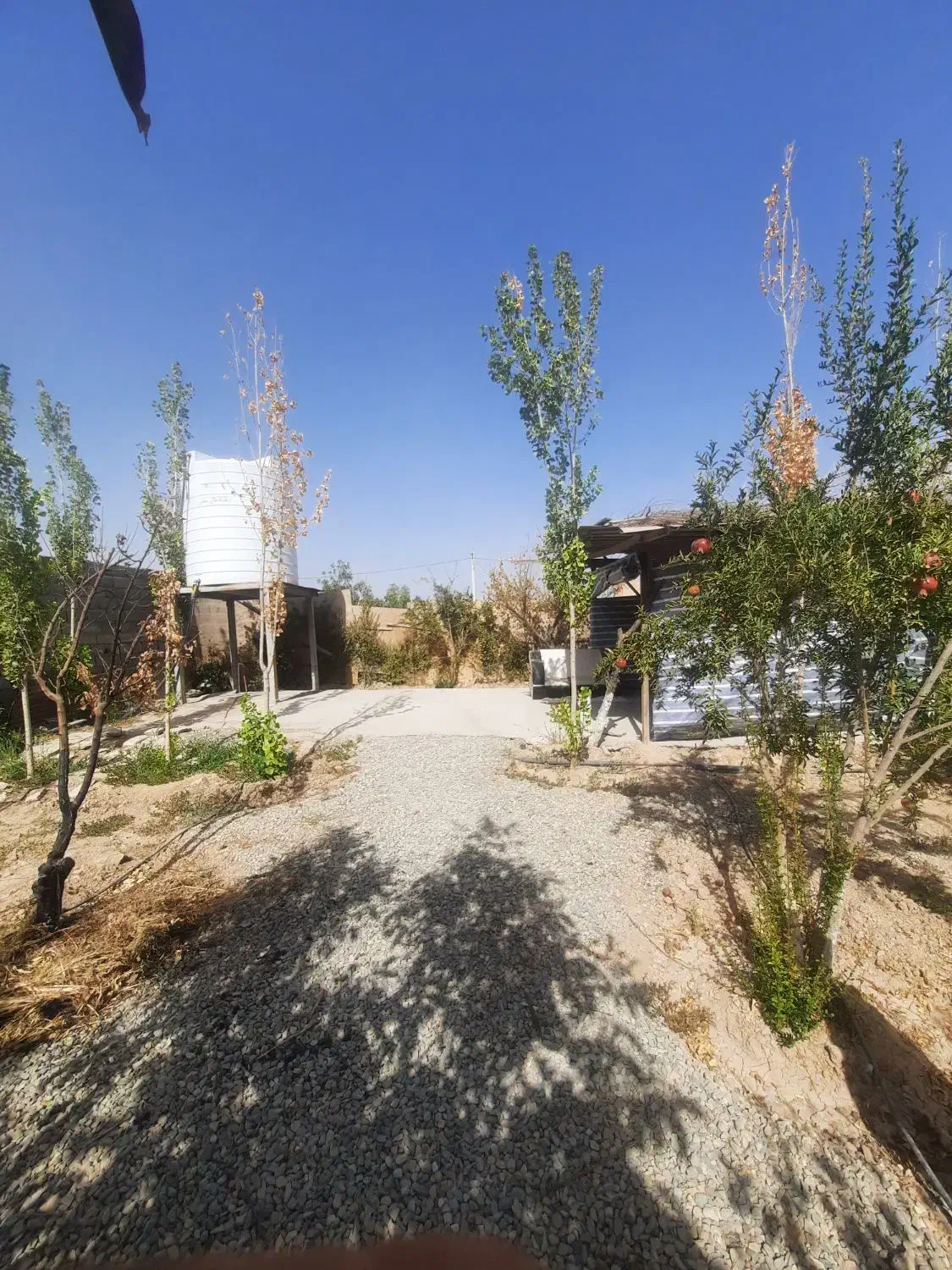 باغچه در خیابان اول کاشانک اسلامشهر|فروش زمین و ملک کلنگی|اسلامشهر, کاشانک|دیوار