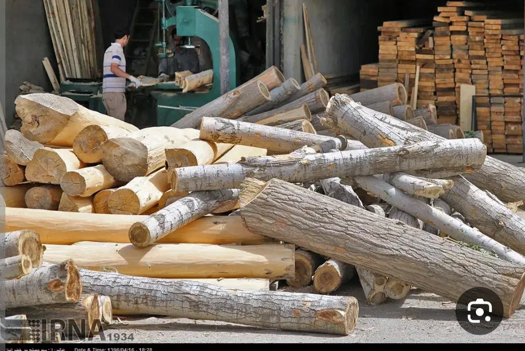 خریدچوب|خدمات باغبانی و درختکاری|کامیاران, |دیوار