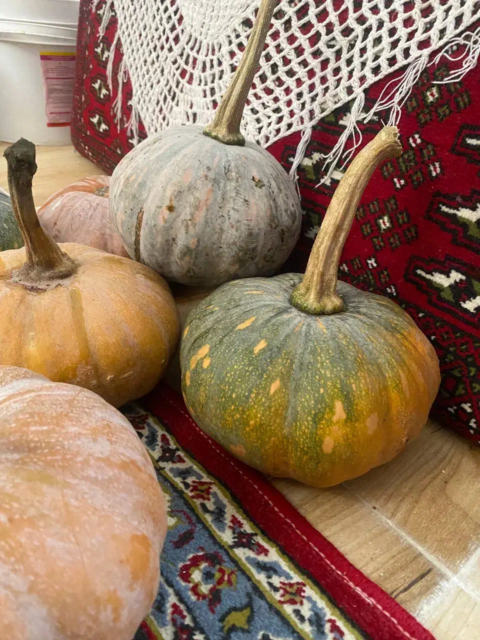 تعدادی کدو|خوردنی و آشامیدنی|واجارگاه, |دیوار